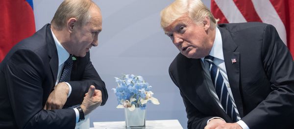 Президент РФ В. Путин принимает участие в саммите Группы двадцати в Гамбурге Президент РФ В. Путин принимает участие в саммите Группы двадцати в Гамбурге - Sputnik Армения