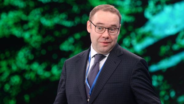 Управляющий партнер ООО СНМГ (SNMG) Денис Терехов - Sputnik Армения