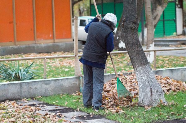 осень в Ереване - Sputnik Արմենիա