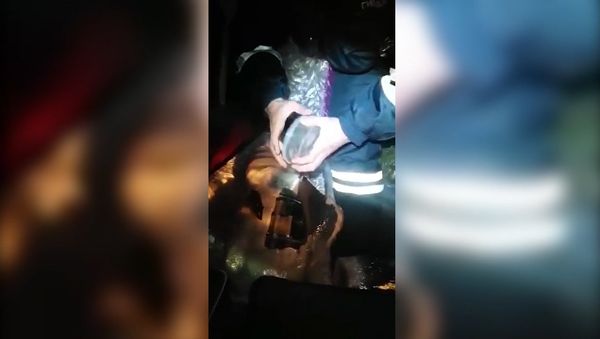 СПУТНИК_ Сотрудники ДПС остановили катафалк и нашли полтонны икры в гробу - Sputnik Армения