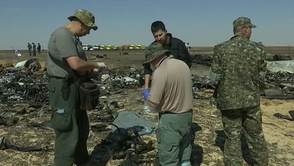 Спутник_Сотрудники МЧС РФ брали пробы с обломков для следствия по крушению А321 - Sputnik Армения