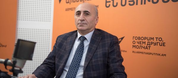 Руководитель Центра инновационных и институциональных исследований Армянского государственного экономического университета Атом Маргарян Руководитель Центра инновационных и институциональных исследований Армянского государственного экономического университета Атом Маргарян - Sputnik Արմենիա