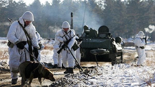 Занятия с расчетами собак минно-розыскной службы ЮВО - Sputnik Армения